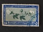 Egypte 1927 - Y&T 117 obl.