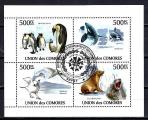 Animaux Polaires Comores 2009 (228) srie complte Yv 1947  1950 oblitr