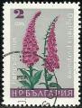 Bulgaria 1967.- Flores. Y&T 1477. Scott 1558.