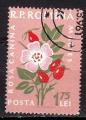 EURO - 1959 - Yvert n 1660 - Rose des chiens