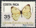 Costa Rica 1998 Oblitr Used Insecte Ascia Monuste Piride du Tapier Y&T CR 635