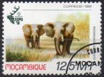 MOZAMBIQUE N 806 o Y&T 1981 Exposition internationale de la chasse (Elphants d