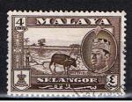 Malaysia - Selangor / 1961-62 / YT n 81, oblitr