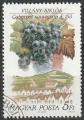 Timbre oblitr n 3286(Yvert) Hongrie 1990 - Fruit, raisin Cabernet Sauvignon