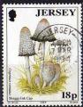 Jersey 1994 - Champignon : coprin chevelu, obl - YT 633 / SG 644 
