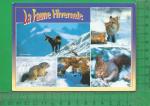 CPM  ANIMMAUX, FAUNE HIVERNALE : 5 vues 