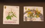 Guernsey 1993 YT 605 et 613