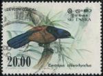 Sri Lanka 1983 Oiseau Centropus Chlororhynchus Coucal de Ceylan Y&T LK 663 SU