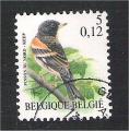Belgium - SG 3541   bird / oiseau