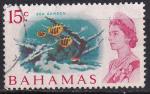 bahamas - n 250  obliter - 1967