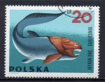 POLOGNE N 1506 o Y&T 1966 Fossiles (Dimichthys)