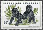 RWANDA - 1970 - Yt n 370 - N* - Gorilles des montagnes