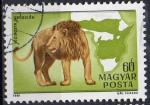 HONGRIE N PA 437 o Y&T 1981 Faune (Lion)
