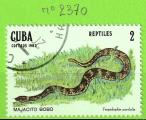 REPTILES - CUBA  N2370 OBLIT
