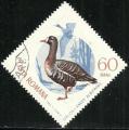 Rumana 1965.- Aves Migratorias. Y&T 2150. Scott 1772. Michel 2435.