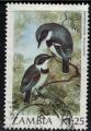 Zambie 1987 Oiseau Passereau Batis margaritae de Margaret ou de Boulton SU