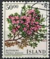 Islande 1988 Oblitr Used Plante Thymus praecox Thym Couch SU