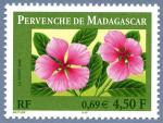 Timbre de 2000 - Pervenche de Madagascar - n 3306