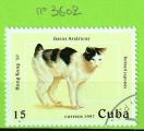CHATS - CUBA  N3602 OBLIT