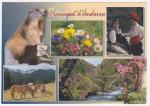 Carte Postale Moderne Andorre -Valls d'Andorra, marmotte