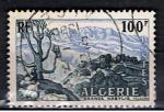 Algrie / 1955 / Grande Kabylie / YT n 331 oblitr