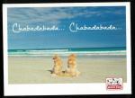 Carte Postale CP Postcard Chiens Dogs  la Plage Chabadabada Maxi Zoo