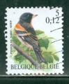 Belgique 2000 Y&T 2920 oblitr Oiseau - Pinson du nord
