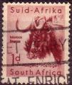 Afrique du Sud / South Africa 1954 - Faune / Fauna : gnou / buffalo - YT202 °