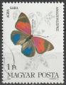 Timbre oblitr n 2912(Yvert) Hongrie 1984 - Papillon