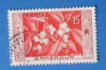 Cameroun 1956 - Nr 304 - Le Caf (obl)