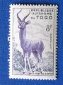 Togo 1957 - Nr 269 - Le Cobe de Buffon neuf**