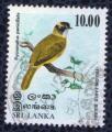 SRI LANKA Oblitration ronde Used Stamp Oiseau Yellow eared Bulbul Oreillard