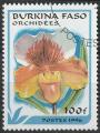 Timbre oblitr n 994A(Yvert) Burkina Faso 1996 - Fleurs, orchides
