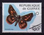 GUINEE  N 1161E Y&T o 1978 Papillon (Dismorphia cubana)