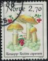 Norvge 1987 Oblitr Champignons Rozites Caperata Pholiote ride Y&T NO 925 SU