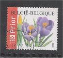 Belgium - SG 3733b      flower / fleur