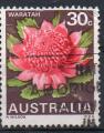 Australie: Fleur : Nnuphar - oblitr  anne 1968