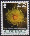 Alderney (Aurigny) 2006 - Anemone : anemonia viridis,  2 - YT 298 / SG 307 **