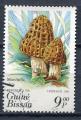 Timbre GUINEE BISSAU  1985  Obl   N 345  Champignons