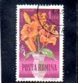 Roumanie oblitr n 1998 Lilium croceum RO20560