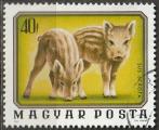 Timbre oblitr n 2480(Yvert) Hongrie 1976 - Jeunes animaux sauvages, marcassin