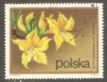 Poland - Scott 1940   flower / fleur