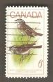 Canada - Scott 496  bird /oiseau