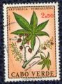 Cap Vert 1968 Oblitr rond Used Plantes Mdicinales Rcino Ricinus communis