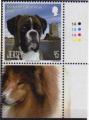 Jersey 2013 - Kennel Club (club canin): chien Boxer - YT 1794 **