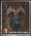 Belgique 2014 Oblitr Used Canis lupus familiaris Chien Malinois Y&T BE 4365 SU