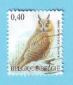BELGIQUE BELGIE HIBOU 2007 / OBLITERE