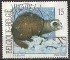 Belgique 1992; Y&T n 2477; 15F, faune, Putois
