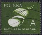 POLOGNE N 3079a o YT 1990 Coquillage