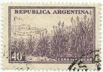 Argentina 1935.- Caa. Y&T 378. Scott 443. Michel 424X.